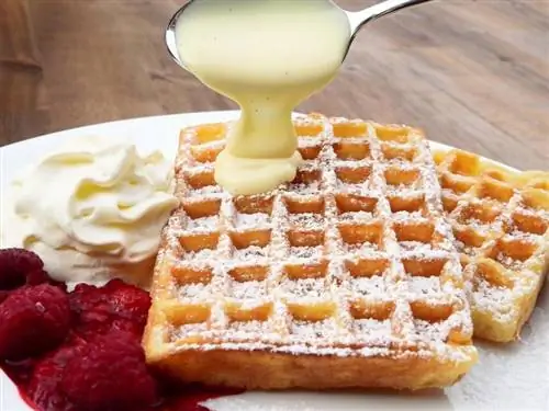 waffle belge