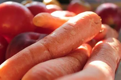 manzanas y zanahorias