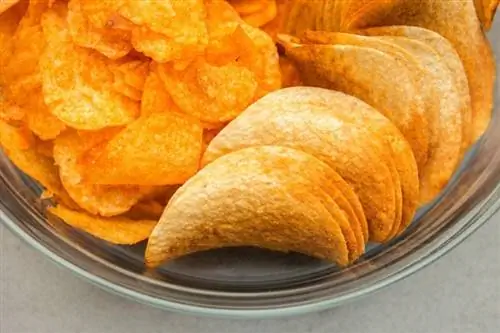 iba't ibang uri ng potato chips