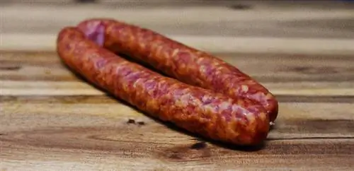 สุนัขกิน Chorizo ได้ไหม? รักษาสุขภาพสุนัขของคุณ