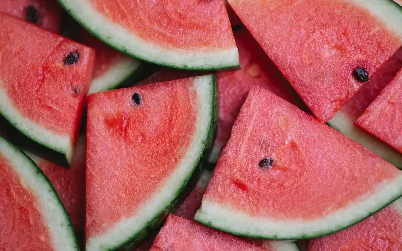 Können Shih Tzus Wassermelone essen? Die überraschende Antwort