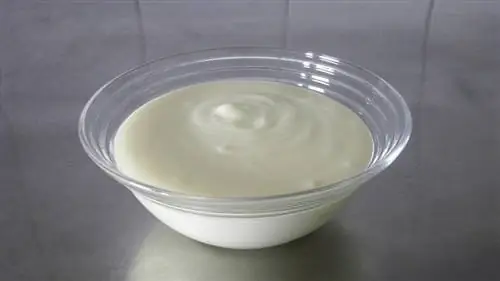 Yoghurt polos dalam mangkuk kecil