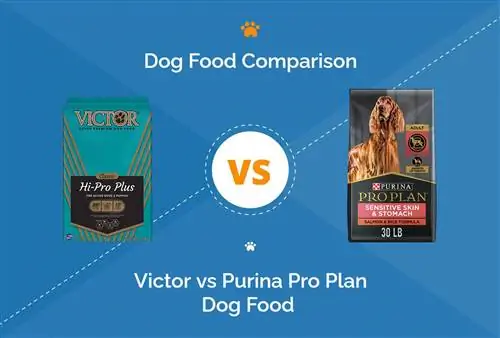 Victor hondenvoer versus Purina Pro Plan: 2023 vergelijking