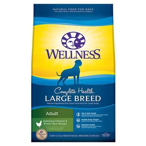 Wellness Core Complete Large Reed