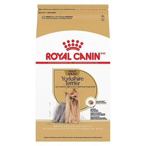 Royal Canin Breed He alth Nutrition Jorkšyro terjeras suaugusiems sausas šunų maistas