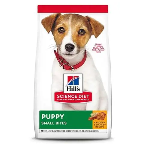 Hill's Science Diet Puppy Sağlam İnkişaf Quru İt Yeməyi