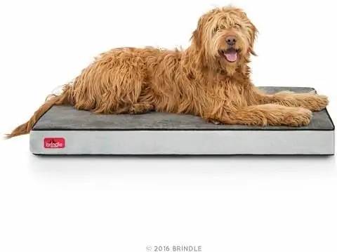 Brindle Waterproof Designer Memory Foam Tsiaj txaj