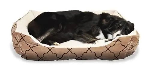 Honden bed