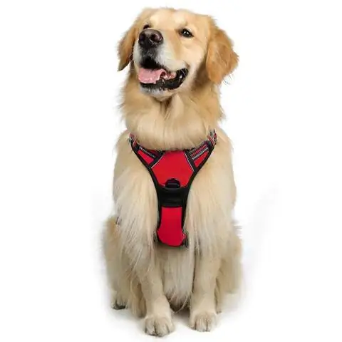 Rabbitgoo Dog Harness አይጎተት የሚስተካከለው የውጪ የቤት እንስሳት ልብስ