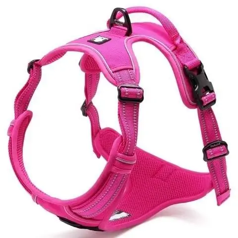 Chai's Choice Dog Harness