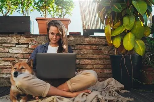 mlada djevojka sjedi na kućnoj terasi sa svojim psom koji radi na laptopu