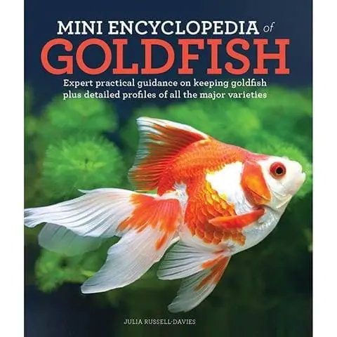 Ensiklopedia Mini Ikan Mas