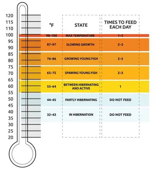 gráfico de temperatura del pez dorado