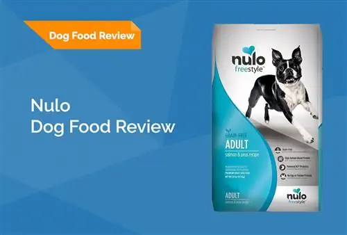 Nulo Dog Food Review 2023: terugroepacties, voordelen & nadelen