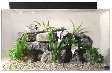 SeaClear Acrylic Aquarium Combo