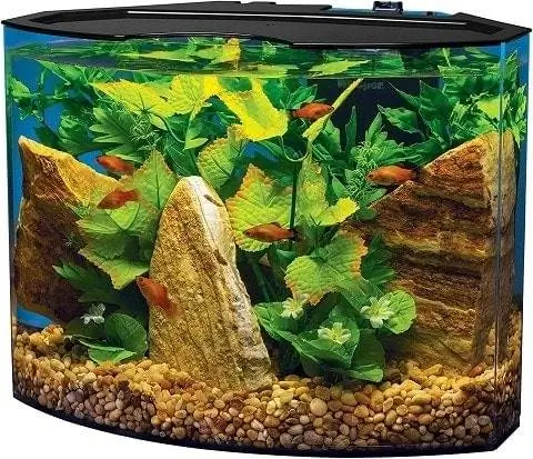 Tetra Crescent Acrylic Aquarium Kit, energieffektiv