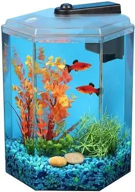 Imagitarium 1,7 Gallon Hexagonal Aquarium