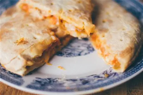 สุนัขกิน Quesadillas ได้ไหม? วิทยาศาสตร์บอกอะไร