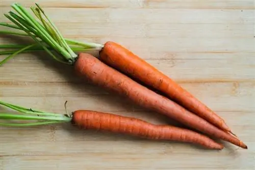 zanahorias en una tabla de cortar