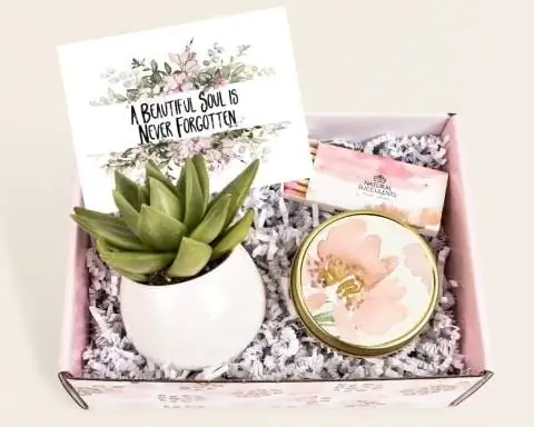 Succulent Gift Box