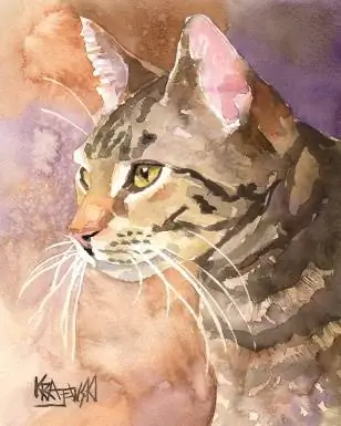 Cat Art Print