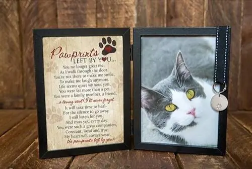 Mga Pawprint na Iniwan Mo Cat Picture Frame