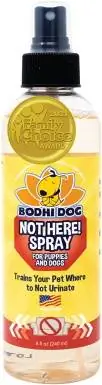 Bodhi Dog Tsis nyob ntawm no! Txau