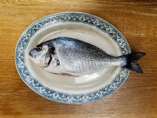 sølvfisk på en tallerken