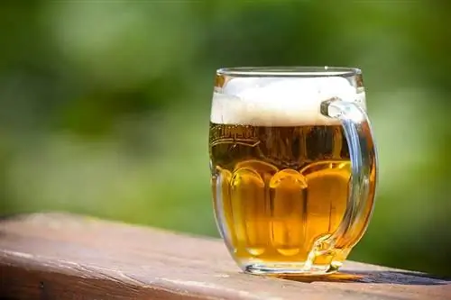 un verre de bière sur une surface en bois