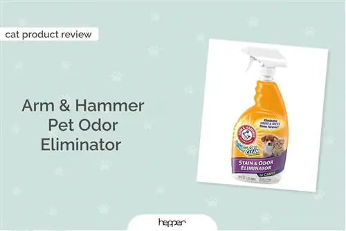 Arm & Hammer Pet Reuk Eliminator review ft image