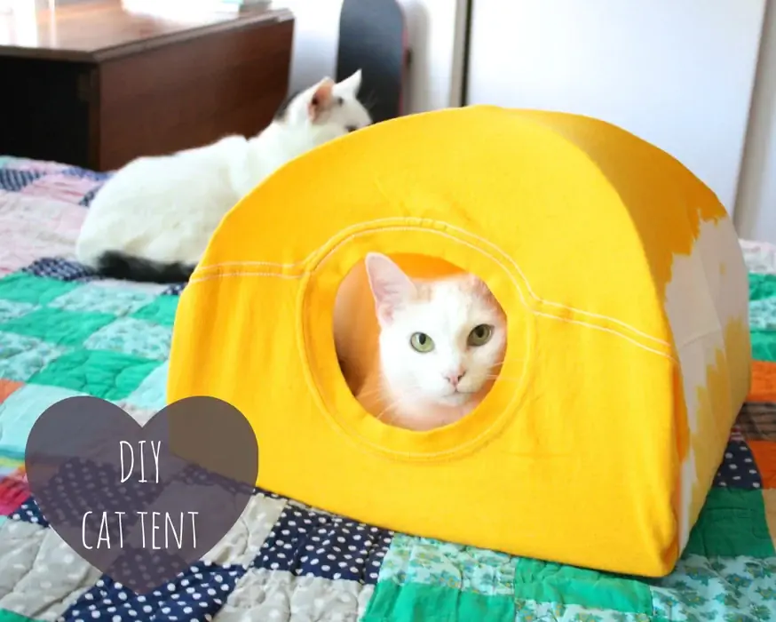 DIY T-Shirt Cat Tent- Mga Instructable