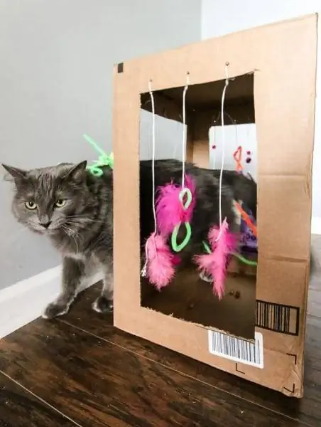 DIY Cardboard Cat Play Box