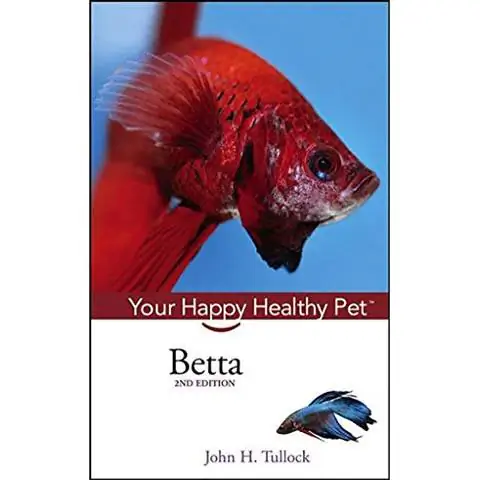 Betta- Thú cưng khỏe mạnh hạnh phúc của bạn