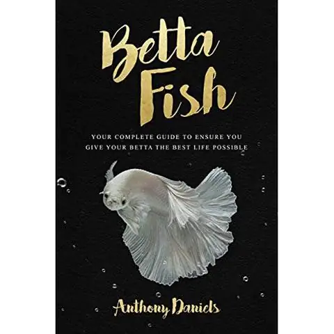 Betta Fish- คู่มือฉบับสมบูรณ์เพื่อให้แน่ใจว่าคุณให้ Betta ของคุณมีชีวิตที่ดีที่สุด