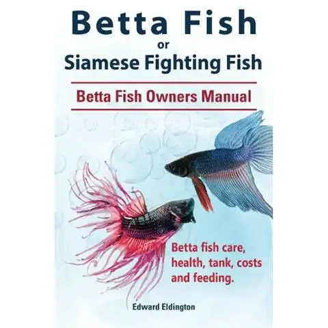 Betta Fish o pesce combattente siamese. Manuale del proprietario del pesce Betta