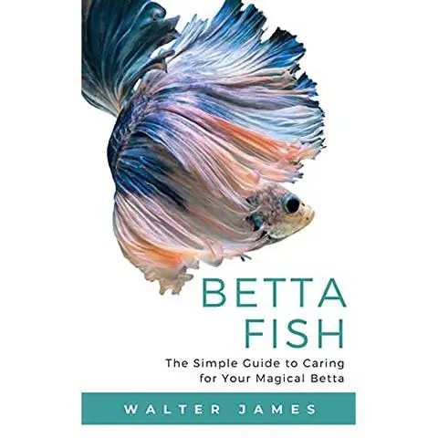 Betta Fish: la guía simple para cuidar a tu Betta mágico