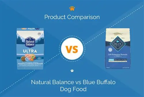 التوازن الطبيعي مقابل Blue Buffalo Dog Food: مقارنة 2023