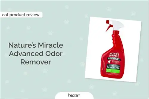 Nature's Miracle Advanced Odour Remover recenzia na obrázku