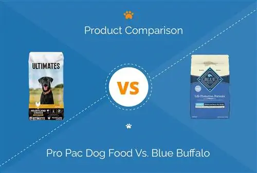 Makanan Anjing Pro Pac Vs. Blue Buffalo (Perbandingan 2023): Apa yang Harus Saya Pilih?