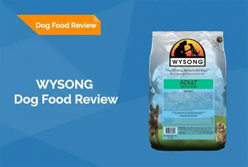 Revisión de alimentos para perros Wysong