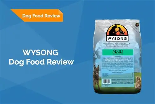 Wysong Dog Food Review 2023: Tilbagekaldelser, fordele & Ulemper