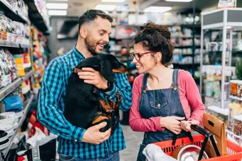 pasangan dengan dachshund di kedai haiwan peliharaan