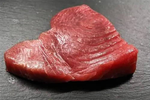 steak tuna