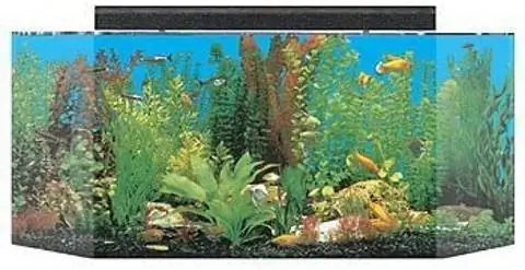 SeaClear 26 Gallon Flat-Back Hexagon: Sab saum toj Acrylic Tank 2023