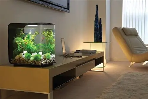 mtiririko wa biorb 30 aquarium nyeusi