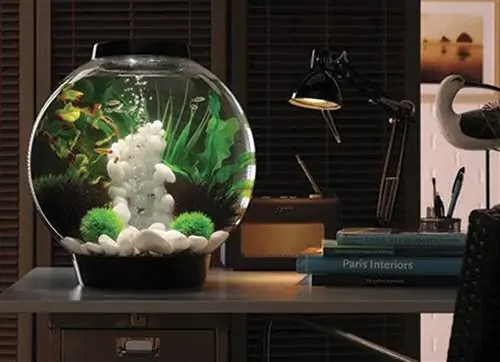 biOrb aquarium