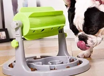 8 meilleurs jouets pour chiens pour chiens intelligents – Avis & Les meilleurs choix de 2023