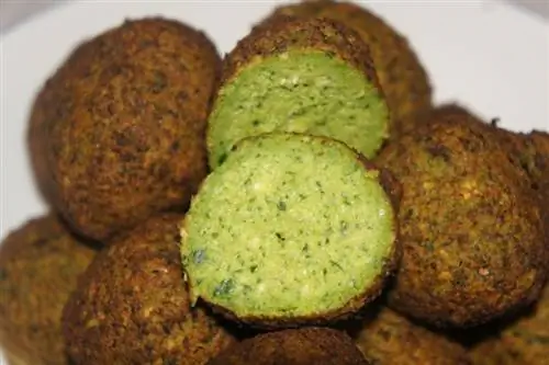 Je, Mbwa Wanaweza Kula Falafel? Soma Hii Kabla Hujawapa Moja