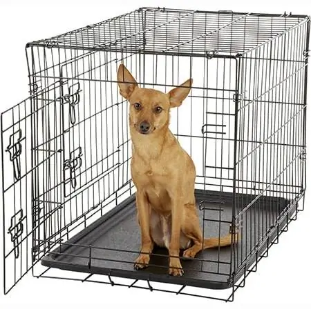 Paws & Pals Divider Hundebox