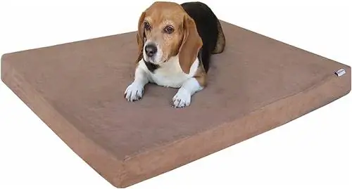 Dogbed4less Memory Foam